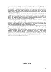 Islamas ir islamizmas: praeitis ir dabartis 11 puslapis