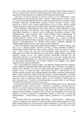 Islamas ir islamizmas: praeitis ir dabartis 16 puslapis