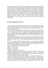 Islamas ir islamizmas: praeitis ir dabartis 17 puslapis