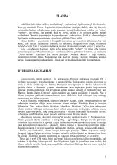 Islamas ir islamizmas: praeitis ir dabartis 3 puslapis
