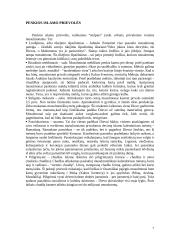 Islamas ir islamizmas: praeitis ir dabartis 7 puslapis