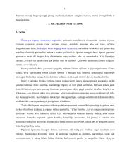 Ispanijos geografija ir socialinis gyvenimas 13 puslapis