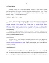 Ispanijos geografija ir socialinis gyvenimas 17 puslapis