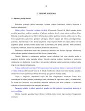 Ispanijos geografija ir socialinis gyvenimas 20 puslapis