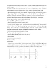 Jurbarko rajono strateginio veiklos plano analizė 11 puslapis