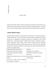 Jurbarko rajono strateginio veiklos plano analizė 12 puslapis