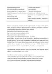 Jurbarko rajono strateginio veiklos plano analizė 13 puslapis