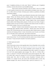 Jurbarko rajono strateginio veiklos plano analizė 19 puslapis