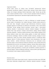 Jurbarko rajono strateginio veiklos plano analizė 20 puslapis