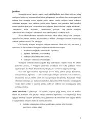 Jurbarko rajono strateginio veiklos plano analizė 3 puslapis