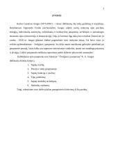 K.G. Jungas apie pasąmonę 3 puslapis