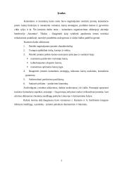 Kainodaros organizavimas: UAB "Saramita" 2 puslapis