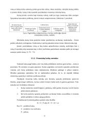 Kainodaros organizavimas: UAB "Saramita" 11 puslapis