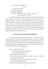 Kainodaros organizavimas: UAB "Saramita" 12 puslapis