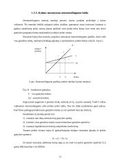 Kainodaros organizavimas: UAB "Saramita" 13 puslapis