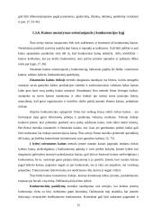 Kainodaros organizavimas: UAB "Saramita" 15 puslapis