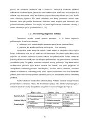 Kainodaros organizavimas: UAB "Saramita" 16 puslapis