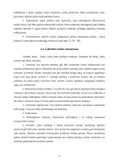 Kainodaros organizavimas: UAB "Saramita" 9 puslapis