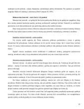 Kineziterapija vandenyje: Halliwick, Watsu ir giluminio bėgimo metodai 10 puslapis