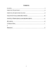 Klasės susitikimo pobūvio organizavimas 2 puslapis