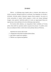 Klasės susitikimo pobūvio organizavimas 3 puslapis