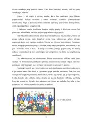 Klasės susitikimo pobūvio organizavimas 5 puslapis