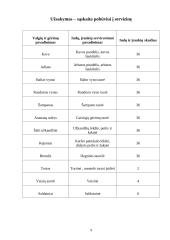 Klasės susitikimo pobūvio organizavimas 9 puslapis
