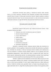 Konstitucinio teismo kompetencija 9 puslapis