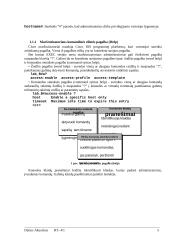 LAN tinklo PĮ 5 puslapis