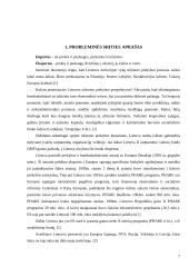 Lietuvos importo bei eksporto apimtys 7 puslapis