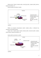 Lietuvos importo bei eksporto apimtys 9 puslapis
