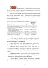 Marketingo komplekso analizė: varškės produktai 10 puslapis