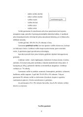 Marketingo komplekso analizė: varškės produktai 7 puslapis