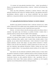 Moterų ir vyrų lygių galimybių kontrolieriaus teisinio statuso įgyvendinimo problemos 8 puslapis