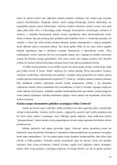 Nacionalinio saugumo ekonominiai aspektai 12 puslapis