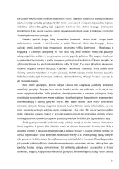 Nacionalinio saugumo ekonominiai aspektai 14 puslapis