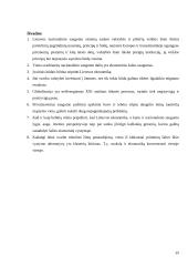 Nacionalinio saugumo ekonominiai aspektai 16 puslapis