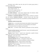 Namų ūkių statistinė analizė 5 puslapis