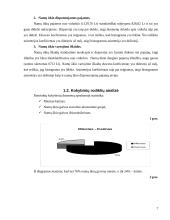 Namų ūkių statistinė analizė 7 puslapis