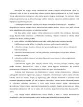 Naujasis viešasis administravimas 13 puslapis