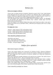 Navigacijos planas plaukimui iš uosto Ryga į uostą Rounen 11 puslapis