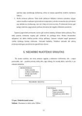 Nedarbo lygio statistinis įvertinimas 13 puslapis