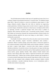 Nedarbo lygio statistinis įvertinimas 3 puslapis