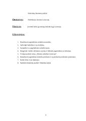 Nedarbo lygio statistinis įvertinimas 4 puslapis