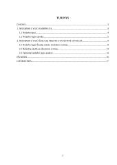 Nedarbo lygio Šiaulių mieste statistinis tyrimas 2 puslapis