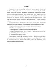 Nedarbo lygio Šiaulių mieste statistinis tyrimas 3 puslapis
