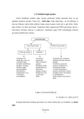 Nedarbo lygio Šiaulių mieste statistinis tyrimas 5 puslapis