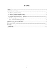 Nuomos sutarties samprata, jos šalys ir sudarymo bei vykdymo ypatumai 2 puslapis