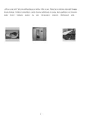 Pirčių istorija ir įvairovė 2 puslapis