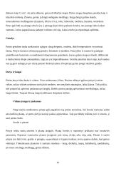 Pirčių istorija ir įvairovė 16 puslapis